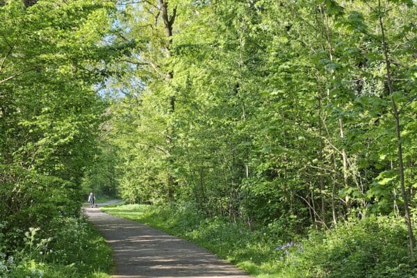 Vijf gemeenten wandeltochten 2024/2025