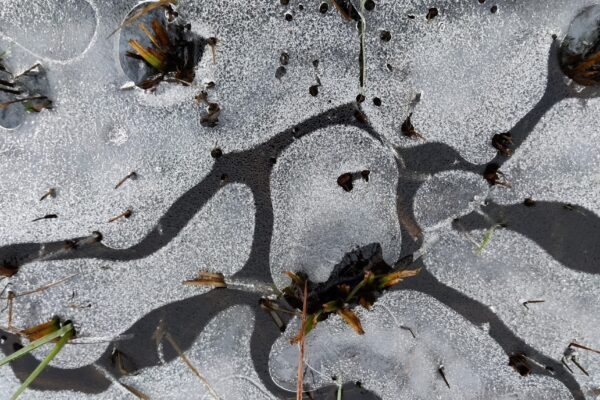 Een winterse Verstilling, nu net de 40 dagentijd begonnen is.