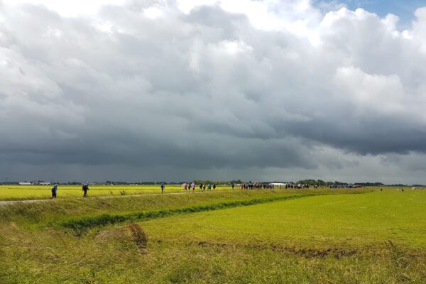 Een ‘wandel-’ Verstilling voor vrijdag 12 juli.