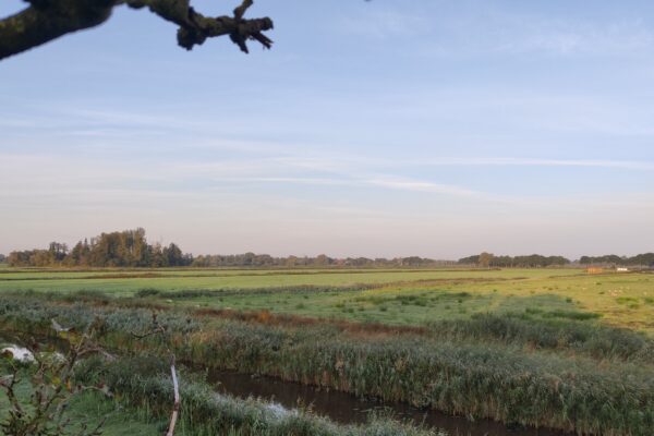 Verstilling van 16 augustus