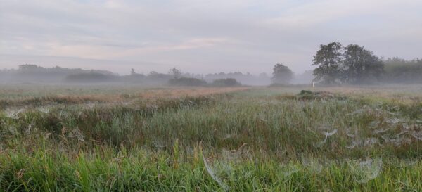 Verstilling voor Vrijdag 9 augustus.