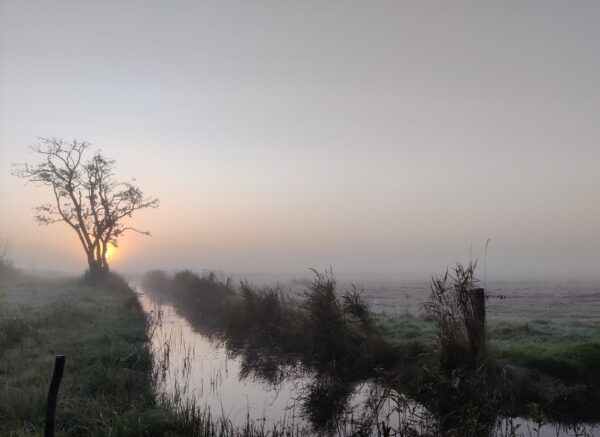 Verstilling voor Vrijdag 4 oktober