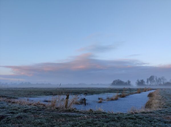 Verstilling voor Vrijdag 22 november