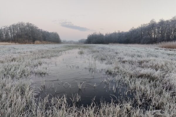 Een winterse verstilling